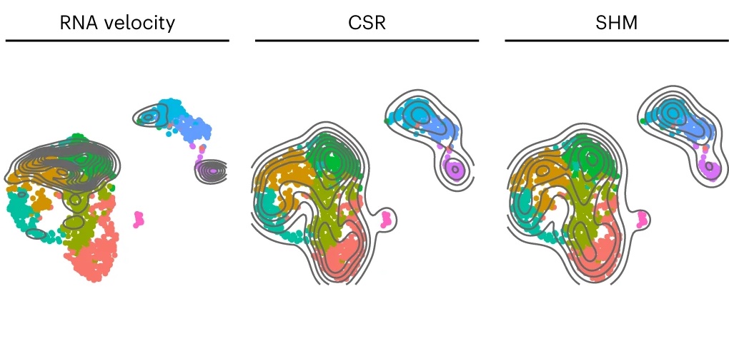 Franca Fraternali’s group published paper in Nature Methods