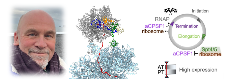 Wellcome Trust Discovery Award